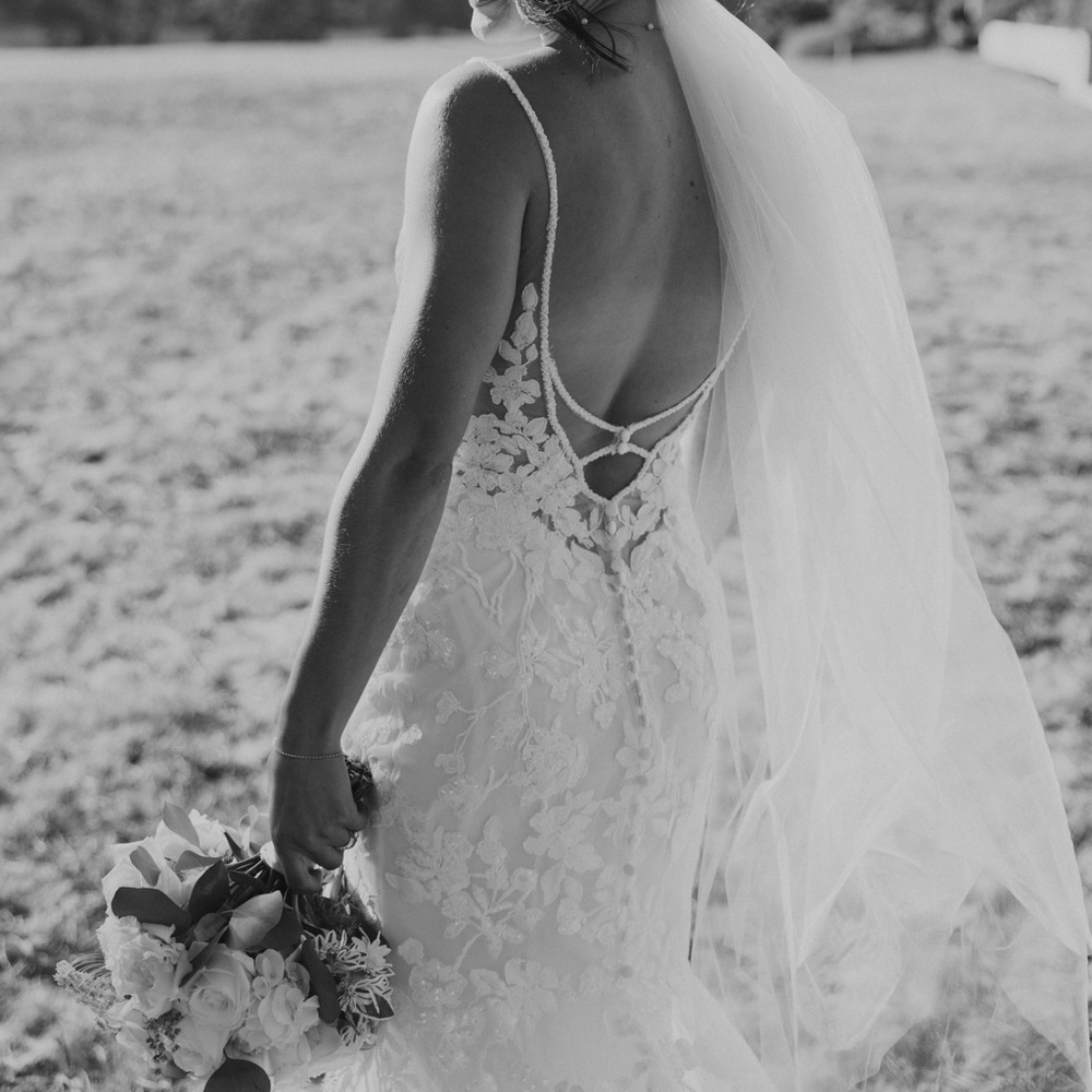 Wedding Dress and Veil